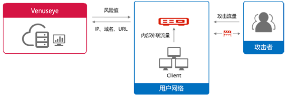 ��в��������-��в�������