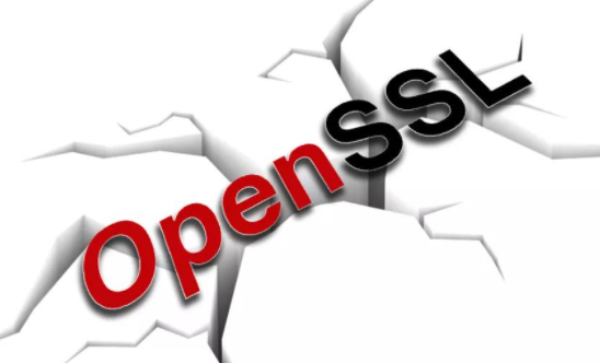 OpenSSL�䲼��ȫ������������Ʒ�е�2����ȫ��϶.png