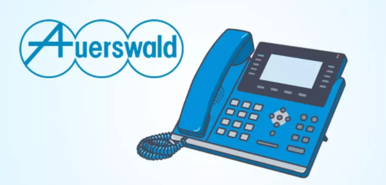 �����Ŷ���Auerswald VoIPϵͳ�м�⵽2�����غ���.png