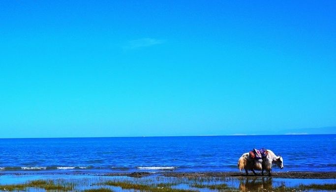 GA�ƽ�ס�(�й���)�ٷ���վ