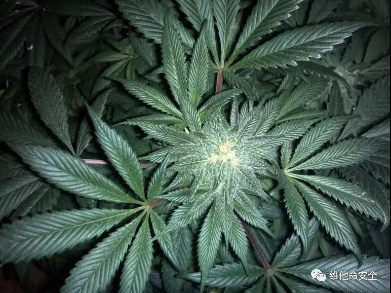 GA�ƽ�ס�(�й���)�ٷ���վ