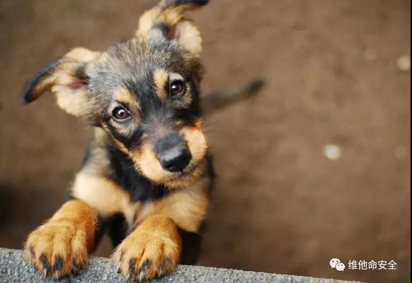 GA�ƽ�ס�(�й���)�ٷ���վ