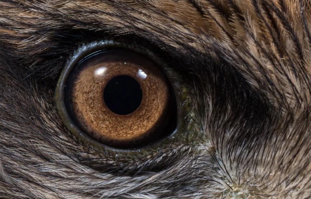 GA�ƽ�ס�(�й���)�ٷ���վ